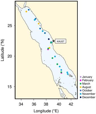 Seawater temperature drives the diversity of key cyanobacteria (Synechococcus and Prochlorococcus) in a warming sea